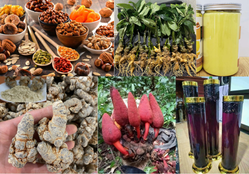 Thiết kế chưa có tên
